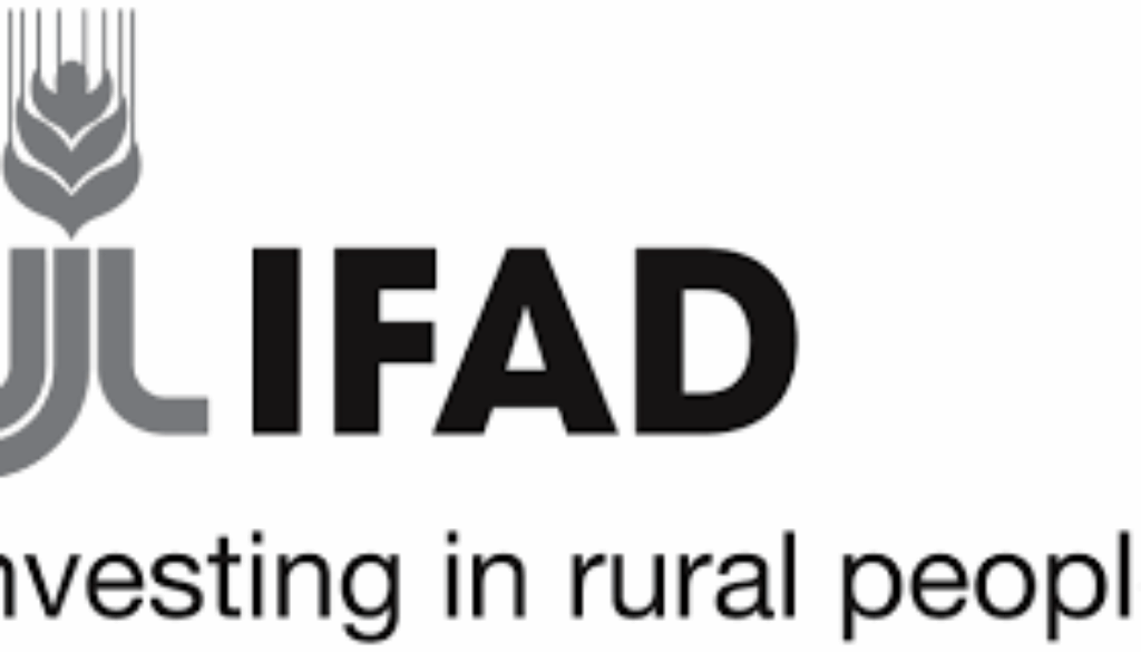Senior Regional Technical Specialist (Markets and Value Chains), Cairo-Job Ref. EG/UNDRR/2405/2507 Senior Regional Technical Specialist (Markets and Value Chains), Cairo-Job Ref. EG/IFAD/2405/2507